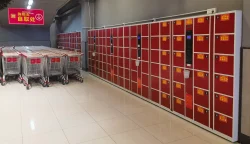 Hangzhou Dongcheng Storage locker Still Reign in Supermarkets After a Decade