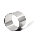 High quality magnet steel 1j50 1j79 1j85 strip permalloy strip