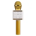 Professional Bluetooth Microphone Speaker V7
