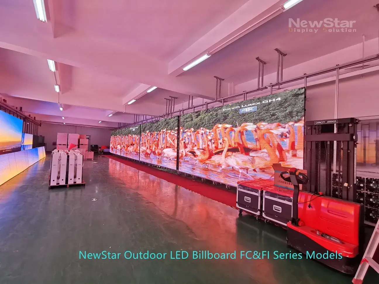 NewStar LED P8/P10 Outdoor Display Screen Project