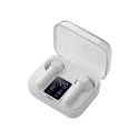 TWS Earbuds with Charging Case and LCD Display