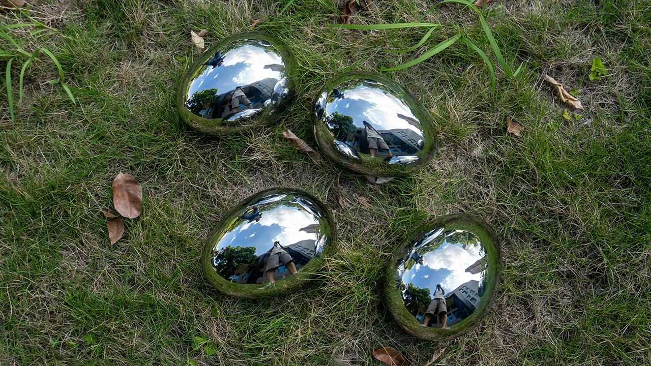 Garden grass interior decoration stainless steel sculpture stainless steel egg ball. (5)