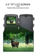 5 Reasons To Invest In A Deer Camera For Wildlife Research