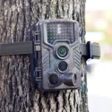 Things To Consider Before Buying the Best Wildlife Trail Cameras | GD Digital