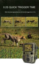 How to Choose Small Trail Cameras - GD Digital LTD Guide