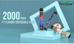 Kangvape all 17 flavors review [2022]