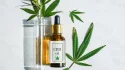 What is the best CBD oil in Europe?