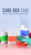 CUBE BOX 2500 Small Cube Box & Big Power