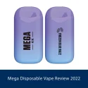 Mega Disposable Vape Review 2022