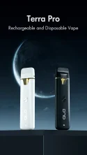 Terra Pro Rechargeable and Disposable Vape