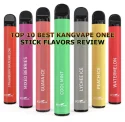 TOP 10 BEST KANGVAPE ONEE STICK FLAVORS REVIEW