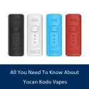 Yocan Kodo Box Mod Review 2023
