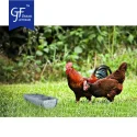 Galvanized Tray Feeder Chicken Animal Feeder In Farm Ground Tabletop Decor Wholesale3