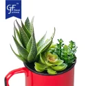 Metal Jug Drinking Mugs Multifunctional Flower Pots Wholesale5
