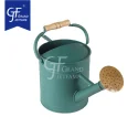 1 Gallon watering can Metal Watering Can with Wooden Handle mini watering can