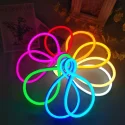 LED Silicone Neon Strips