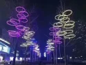 Outdoor decoration lighting project
