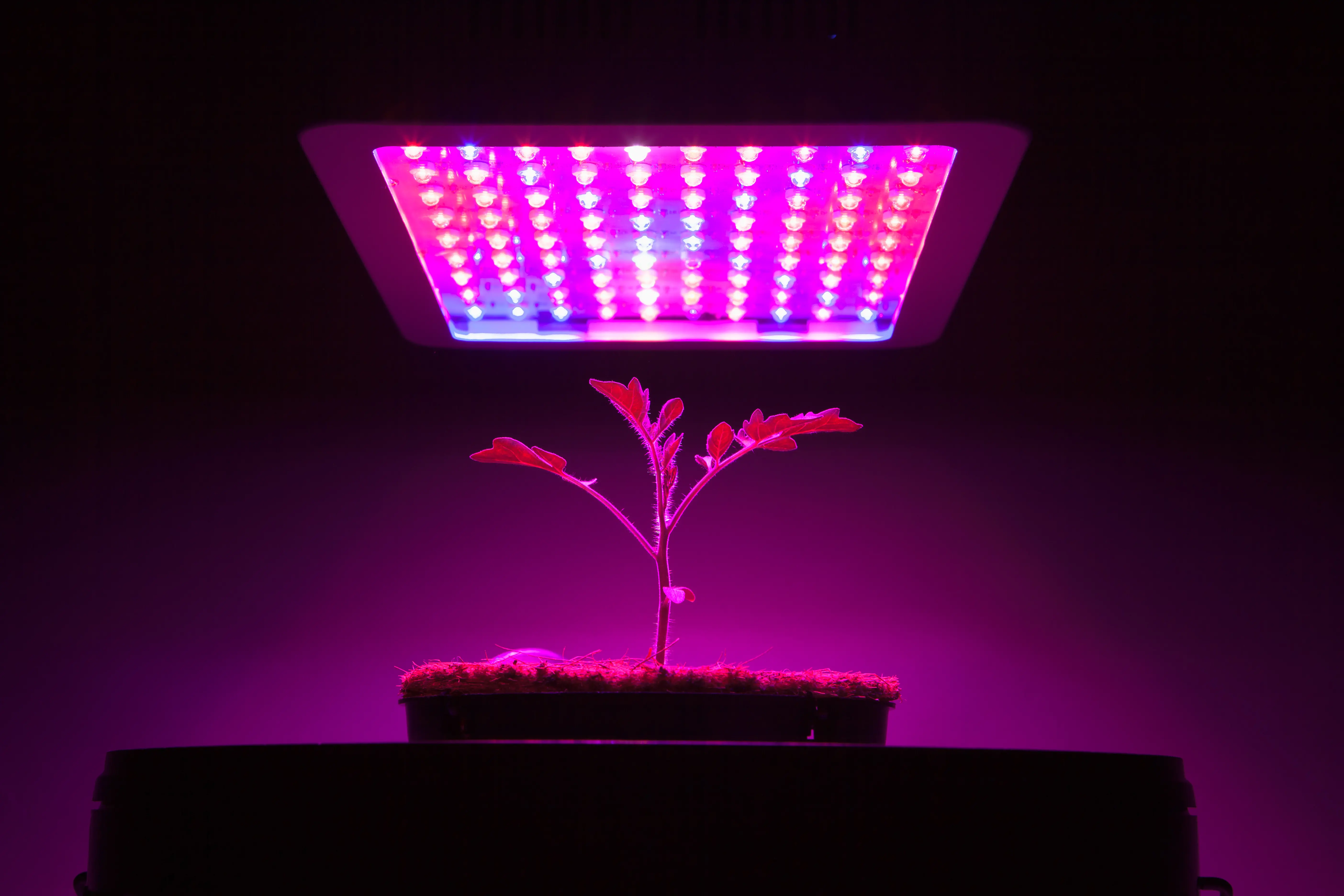 LED grow Lights