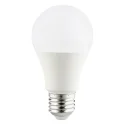 Led light A bulbs
