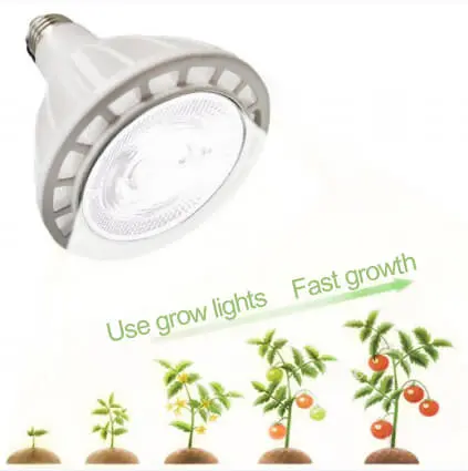 grow lights bulbs for indoor plants