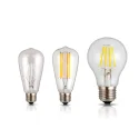 led filament bulb (2)