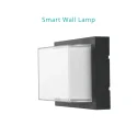 Smart Wall Lamp2