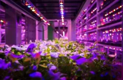 Cables and Connectors of Power Cable Solutions for Vertical Farming
