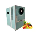 Industrial Heat Pump Fruit Dehydration Dryer