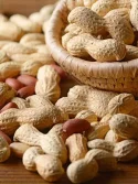 Cooperation case of peanut processing