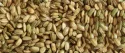 Unripe Rice Grains