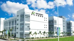 The vision of wesort