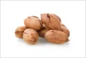 Macadamia Nuts 