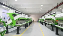 How A Color Sorter Machine Can Improve Your Business | Wesort