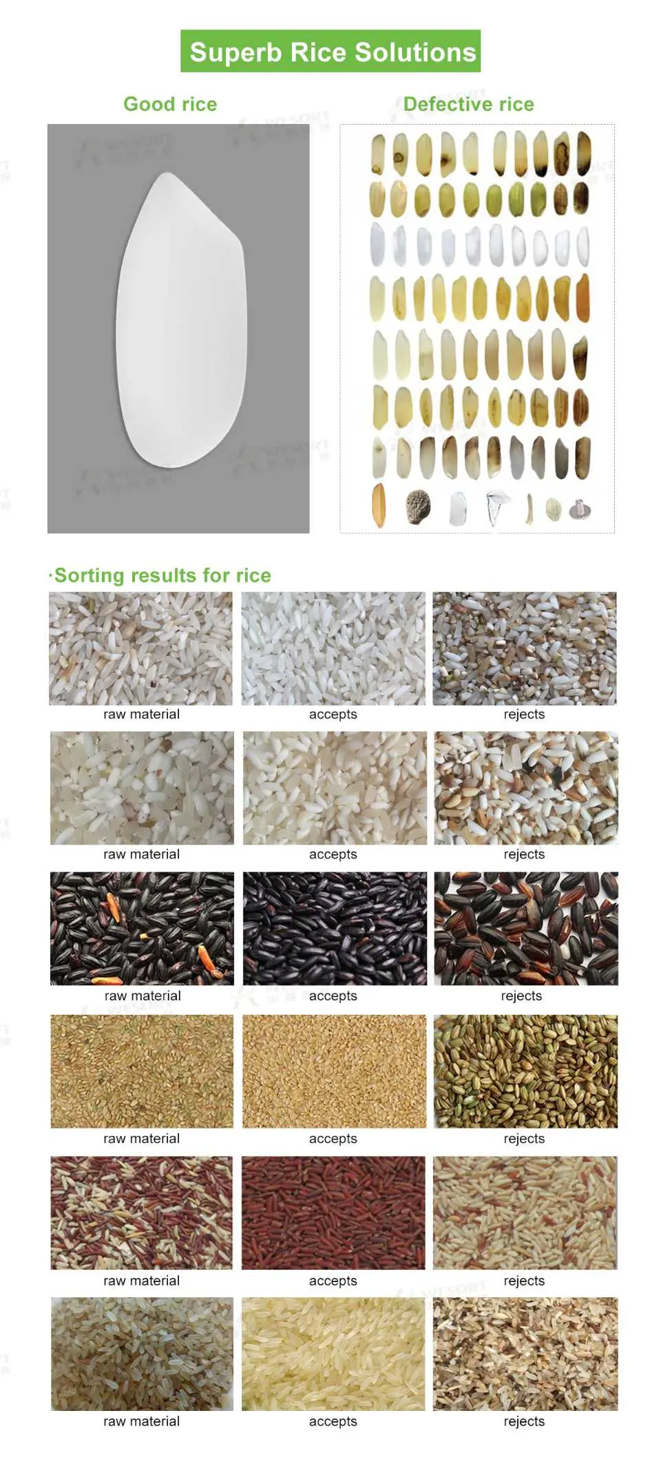 rice sorter