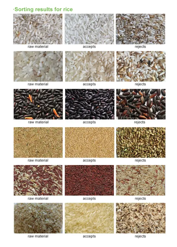Rice color sorter