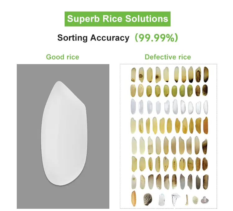 Rice color sorter