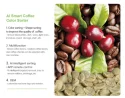 Grading of coffee beans-Coffee bean colour sorter