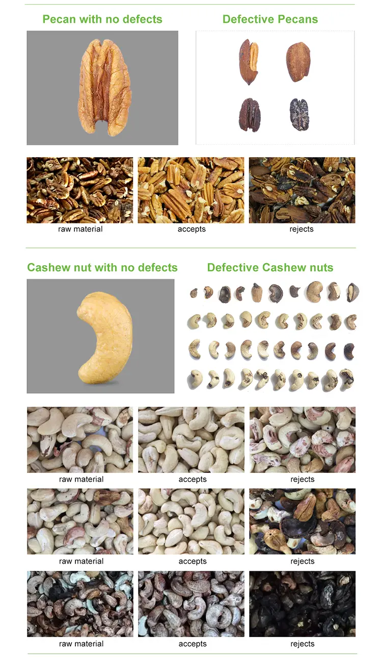 cashew nut color sorter