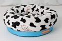 Significance Of A Dog Bed