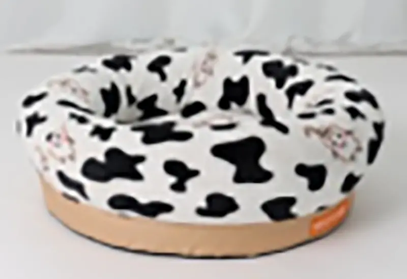 a dog bed