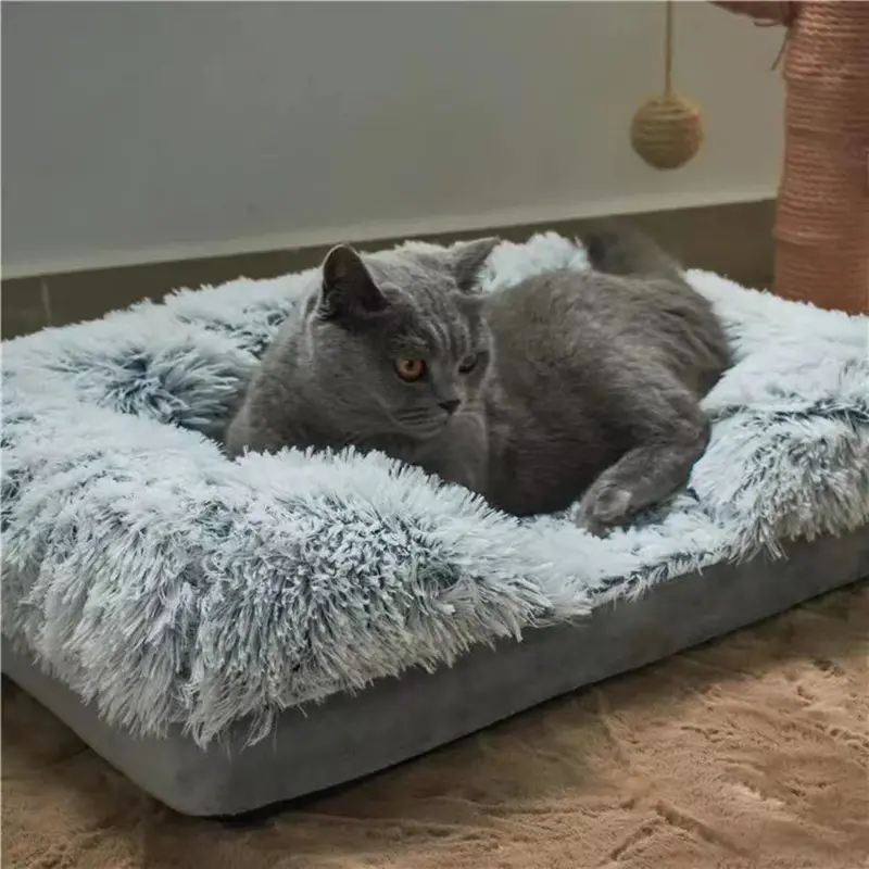 cat bed for couch