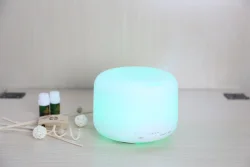 How to Choose the Best Aroma Diffuser Humidifier