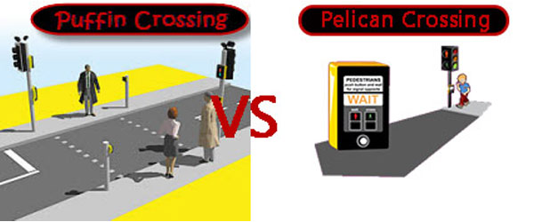 Road crossings explained - zebra, pelican, puffin and toucan crossings