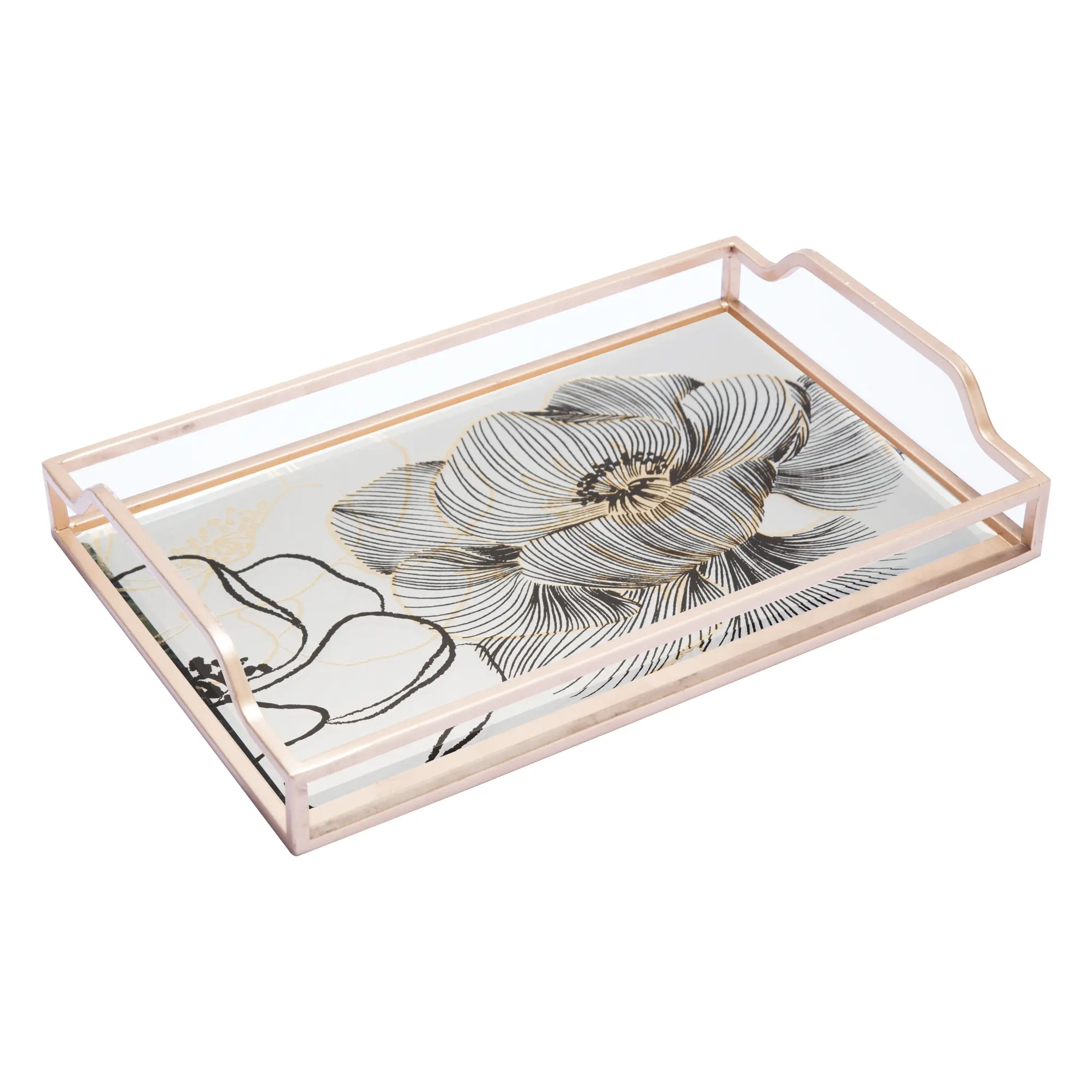 Metal Frame Deco Glass Tray (1)