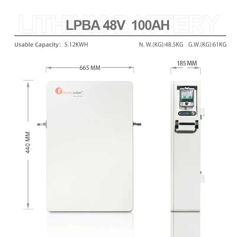 51.2V 5.12kwh LPBA48100-OL LiFePO4 lithium battery(3)