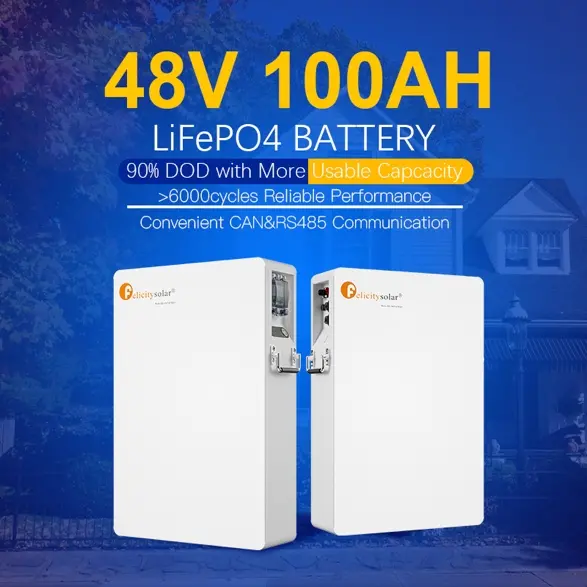 Lithium Ion 100Ah battery